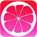 蜜柚app下载汅api免费下载无限看